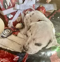 processed/f62232a1-6b67-4fc6-8182-5fd805a55843/listing/5e8d8322-046a-451d-8f43-2f6eff8426f5/83dc2c74-db9a-4ddb-9e57-77d6e9d10bf9