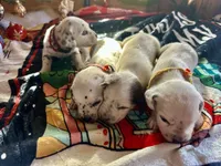 processed/f62232a1-6b67-4fc6-8182-5fd805a55843/listing/5e8d8322-046a-451d-8f43-2f6eff8426f5/a08076ae-217b-4d8e-b435-927a73420869