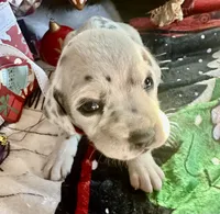 processed/f62232a1-6b67-4fc6-8182-5fd805a55843/listing/5e8d8322-046a-451d-8f43-2f6eff8426f5/b9297709-bfa4-42b9-a5fb-f5191fb5a6ce