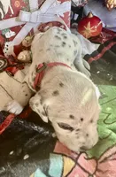 processed/f62232a1-6b67-4fc6-8182-5fd805a55843/listing/5e8d8322-046a-451d-8f43-2f6eff8426f5/dca72cf0-3fb8-434d-9c99-dfcc0e834c46