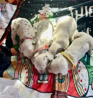 processed/f62232a1-6b67-4fc6-8182-5fd805a55843/listing/5e8d8322-046a-451d-8f43-2f6eff8426f5/f39bd628-38a0-48f1-883a-339f4bfe8117