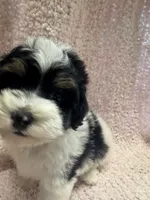 processed/f62232a1-6b67-4fc6-8182-5fd805a55843/listing/6a7976e7-db71-4d50-a33f-10fbdd61b2fb/25fb234a-5330-4809-877a-fc695690da62