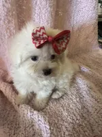 processed/f62232a1-6b67-4fc6-8182-5fd805a55843/listing/6a7976e7-db71-4d50-a33f-10fbdd61b2fb/cc1244ac-7714-44c8-9a6a-8bed1f87018b