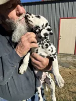 processed/f62232a1-6b67-4fc6-8182-5fd805a55843/listing/8c6d6000-414a-4f27-b191-feb3a2c90429/3e428311-bb70-49eb-b187-c5262a0063bf