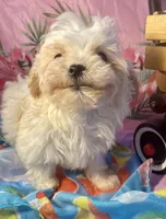 processed/f62232a1-6b67-4fc6-8182-5fd805a55843/listing/8f698b64-5c4c-4214-b141-4b86a2d56552/91a0365c-7ac5-438c-ad74-85bf2c747024