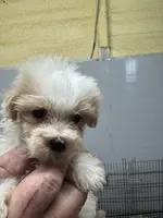 processed/f62232a1-6b67-4fc6-8182-5fd805a55843/listing/8f698b64-5c4c-4214-b141-4b86a2d56552/c47c403a-e4c4-4905-8ded-771afdea496d