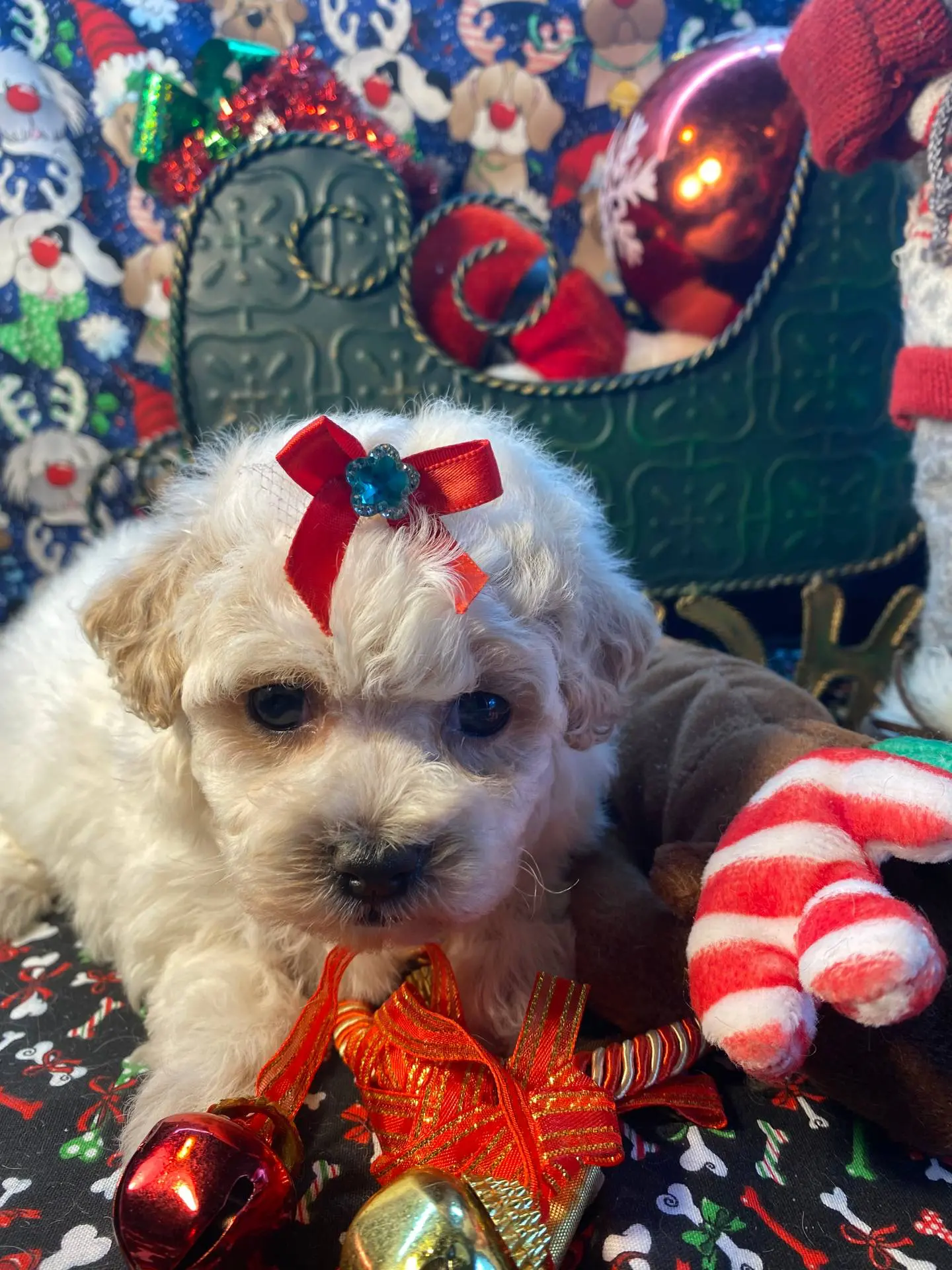 processed/f62232a1-6b67-4fc6-8182-5fd805a55843/listing/8f698b64-5c4c-4214-b141-4b86a2d56552/f41a4557-02ec-4f73-8bd7-927d1f215aae