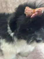 processed/f62232a1-6b67-4fc6-8182-5fd805a55843/listing/9ac7a2c2-761b-45e9-b0d8-bcf8b3d24157/28d02291-c2e7-4597-b3a4-dcc582bd3048