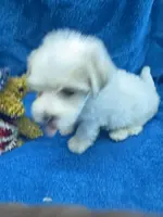 processed/f62232a1-6b67-4fc6-8182-5fd805a55843/listing/9ac7a2c2-761b-45e9-b0d8-bcf8b3d24157/90ddffd1-bbb3-46e8-915c-f3daee968dfe