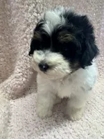 processed/f62232a1-6b67-4fc6-8182-5fd805a55843/listing/a4798146-47e7-45ba-b7b3-b7a7a2a1dbc2/14130218-c897-429f-b36e-9c2aba2d0194