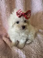 processed/f62232a1-6b67-4fc6-8182-5fd805a55843/listing/a4798146-47e7-45ba-b7b3-b7a7a2a1dbc2/da15b452-b7c9-4208-81cd-5cb950cfe80d