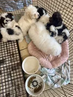 processed/f62232a1-6b67-4fc6-8182-5fd805a55843/listing/a4798146-47e7-45ba-b7b3-b7a7a2a1dbc2/da8ed7d9-0978-45c6-a506-3ccc42124870