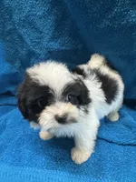 processed/f62232a1-6b67-4fc6-8182-5fd805a55843/listing/a4798146-47e7-45ba-b7b3-b7a7a2a1dbc2/e983d13f-a546-4aec-9873-3054f2cacc06