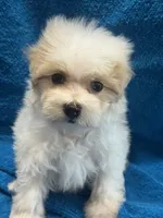 processed/f62232a1-6b67-4fc6-8182-5fd805a55843/listing/b2f0f6c6-8bc6-4732-bcc0-8b7397d660b8/3dd1157e-7f02-4d7b-b048-aa0598bfab0f