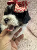 processed/f62232a1-6b67-4fc6-8182-5fd805a55843/listing/b2f0f6c6-8bc6-4732-bcc0-8b7397d660b8/84afd3a0-96d2-4cd5-8ca5-72cc09e589b8