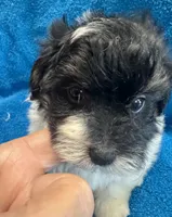 processed/f62232a1-6b67-4fc6-8182-5fd805a55843/listing/b2f0f6c6-8bc6-4732-bcc0-8b7397d660b8/e86188dd-7ede-4dfc-ab2f-118e5a5eb764