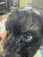 processed/f62232a1-6b67-4fc6-8182-5fd805a55843/listing/b2f0f6c6-8bc6-4732-bcc0-8b7397d660b8/f4763ebc-4ab8-4906-9f05-a98674f7b364