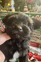 processed/f62232a1-6b67-4fc6-8182-5fd805a55843/listing/b8103bdb-716c-4b55-a550-ebb08093092a/79885abf-304c-42d5-aba7-eb29918c96a8