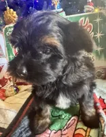 processed/f62232a1-6b67-4fc6-8182-5fd805a55843/listing/b8103bdb-716c-4b55-a550-ebb08093092a/9d38d1ce-20e7-4660-a3c7-e8db450f1dfa