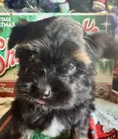 processed/f62232a1-6b67-4fc6-8182-5fd805a55843/listing/b8103bdb-716c-4b55-a550-ebb08093092a/d05ef94a-a1fa-4b44-a161-dbfa35173825