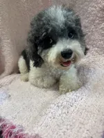 processed/f62232a1-6b67-4fc6-8182-5fd805a55843/listing/b8103bdb-716c-4b55-a550-ebb08093092a/e8e68bd9-9646-42f9-9083-c87e0ee03b92