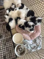 processed/f62232a1-6b67-4fc6-8182-5fd805a55843/listing/ea78a63a-49d4-40f5-a9ff-b8e24ff71ae7/1e0b315b-ee81-4442-a541-ffc4e8d59efa