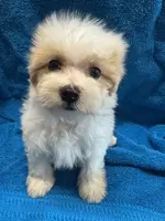 processed/f62232a1-6b67-4fc6-8182-5fd805a55843/listing/ea78a63a-49d4-40f5-a9ff-b8e24ff71ae7/6e48c353-46fd-46c8-b5b9-002d3e606cf3