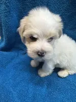 processed/f62232a1-6b67-4fc6-8182-5fd805a55843/listing/f64c987b-5998-4b5f-be01-e6fe859c17f6/354f67a3-79c2-43d2-bfb3-44905848f879