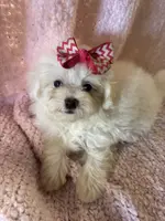 processed/f62232a1-6b67-4fc6-8182-5fd805a55843/listing/f64c987b-5998-4b5f-be01-e6fe859c17f6/9e27136c-7907-485c-9845-afd4f13a9a06