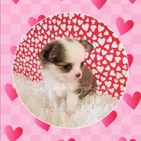 processed/f623bfba-d798-4640-b313-2943d13de2b4/listing/36c9fb91-2c4b-4f5f-8618-6e31b30ccc23/16acf6fb-c80c-4d7f-94f9-c786fb6356ba