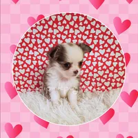 processed/f623bfba-d798-4640-b313-2943d13de2b4/listing/36c9fb91-2c4b-4f5f-8618-6e31b30ccc23/21f07d27-7999-487c-869f-ad2f178cab2f