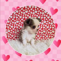 processed/f623bfba-d798-4640-b313-2943d13de2b4/listing/36c9fb91-2c4b-4f5f-8618-6e31b30ccc23/3a5e7951-b622-4061-b523-5240090f2930