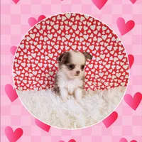 processed/f623bfba-d798-4640-b313-2943d13de2b4/listing/36c9fb91-2c4b-4f5f-8618-6e31b30ccc23/6074fb12-1845-49aa-b112-427d541add5b