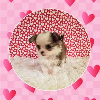 processed/f623bfba-d798-4640-b313-2943d13de2b4/listing/36c9fb91-2c4b-4f5f-8618-6e31b30ccc23/6ffaff73-90e7-40ee-9ab1-8fdb0b5d901c