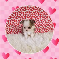 processed/f623bfba-d798-4640-b313-2943d13de2b4/listing/36c9fb91-2c4b-4f5f-8618-6e31b30ccc23/8dca336d-a438-4718-902d-9474df972ca1