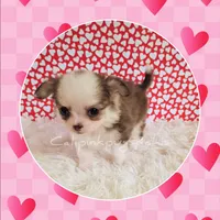 processed/f623bfba-d798-4640-b313-2943d13de2b4/listing/36c9fb91-2c4b-4f5f-8618-6e31b30ccc23/e0a47a11-dded-4085-a7e8-63dc230b4ed0