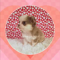 processed/f623bfba-d798-4640-b313-2943d13de2b4/listing/43ee83ac-bfee-4795-92a6-b45da8fd2464/0083c405-9bba-4316-9df5-8269f9e56133