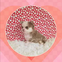 processed/f623bfba-d798-4640-b313-2943d13de2b4/listing/43ee83ac-bfee-4795-92a6-b45da8fd2464/016d4573-5914-4115-993a-a7514b6affb8