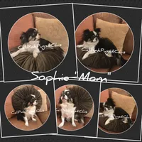 processed/f623bfba-d798-4640-b313-2943d13de2b4/listing/43ee83ac-bfee-4795-92a6-b45da8fd2464/20794f25-21d5-4745-bfd4-fc357a3276ab