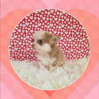 processed/f623bfba-d798-4640-b313-2943d13de2b4/listing/43ee83ac-bfee-4795-92a6-b45da8fd2464/35a32f5a-5528-4fed-ad8c-b6ccd83fa17a