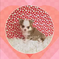 processed/f623bfba-d798-4640-b313-2943d13de2b4/listing/43ee83ac-bfee-4795-92a6-b45da8fd2464/853367f1-6e5f-41b4-9a01-d1c591f7561f