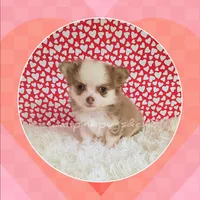 processed/f623bfba-d798-4640-b313-2943d13de2b4/listing/43ee83ac-bfee-4795-92a6-b45da8fd2464/d235a309-8879-45d5-91ea-062933674830