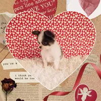 Fendi, a male Chihuahua for sale in Modesto, CA – Photo 2 of 10