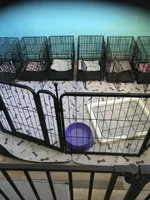 processed/f629c6cc-8265-4b49-8e8c-b4f03ffaf647/facility/516300fe-03e4-4b64-b2b1-2e4a74fb4089