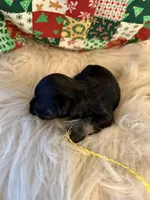 processed/f629c6cc-8265-4b49-8e8c-b4f03ffaf647/listing/74ba14c4-624d-477a-aba7-c8e5be174a32/200284e4-ef0e-481c-8bf2-a147501e2b03