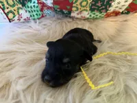 processed/f629c6cc-8265-4b49-8e8c-b4f03ffaf647/listing/74ba14c4-624d-477a-aba7-c8e5be174a32/4563cfc4-fc2c-4e66-abd5-83d5b3c79bf4