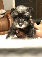 processed/f629c6cc-8265-4b49-8e8c-b4f03ffaf647/listing/74ba14c4-624d-477a-aba7-c8e5be174a32/78e5cc5d-3a3f-4d13-92e2-7d169678a2e2