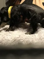 processed/f629c6cc-8265-4b49-8e8c-b4f03ffaf647/listing/74ba14c4-624d-477a-aba7-c8e5be174a32/7c494433-5eb8-435a-a22a-31a0d1df3f7c