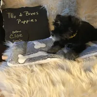 processed/f629c6cc-8265-4b49-8e8c-b4f03ffaf647/listing/74ba14c4-624d-477a-aba7-c8e5be174a32/e44feaa6-e7f4-4019-93f9-0fb8bd6dde0d