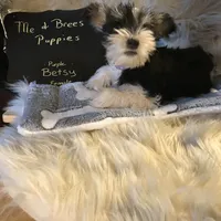 processed/f629c6cc-8265-4b49-8e8c-b4f03ffaf647/listing/aea17e14-66d4-4a68-92d1-9fa766fd17b0/0e803fd9-97f8-45cd-9a40-76f5968591cb